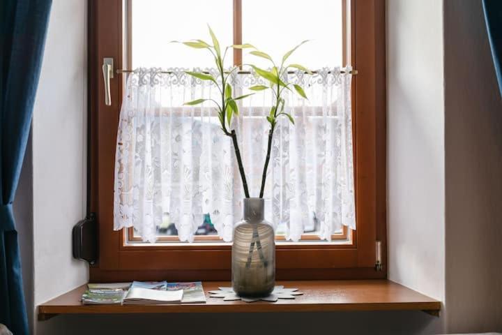 Vanek Apartment Kotschach-Mauthen Eksteriør bilde